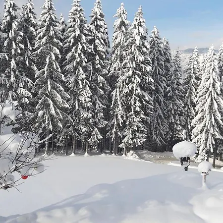 Apartamento Haus Hubtertus Oberndorf in Tirol